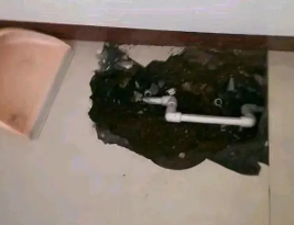 东区卫生间测漏水多少钱